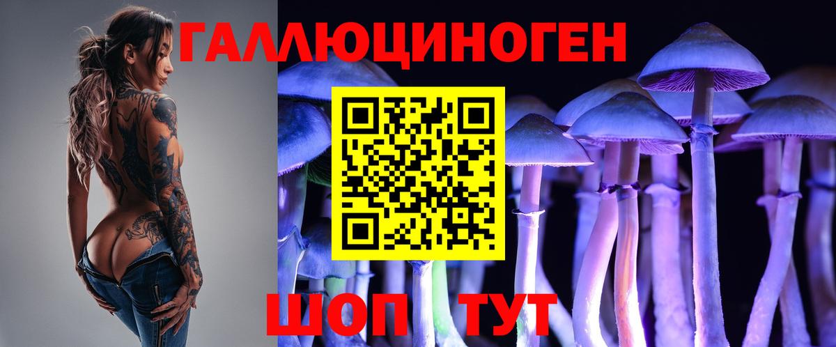 Ковров  где можно купить   Галлюциногенные грибы GOLDEN TEACHER  Вход с VPN  Псилоцибиновые грибы Magic Shrooms 